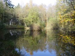 Weiher 2